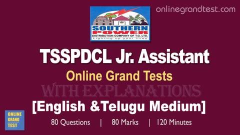 TSSPDCL Jr.Assistant 10 Online Tests cover