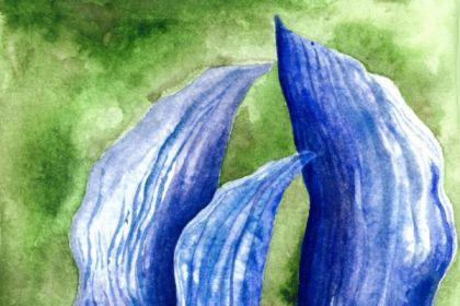Recording - Watercolor Iris Making cover