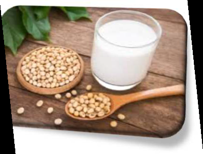 Soya Beverage Making Technician (Gujarati eBook) cover