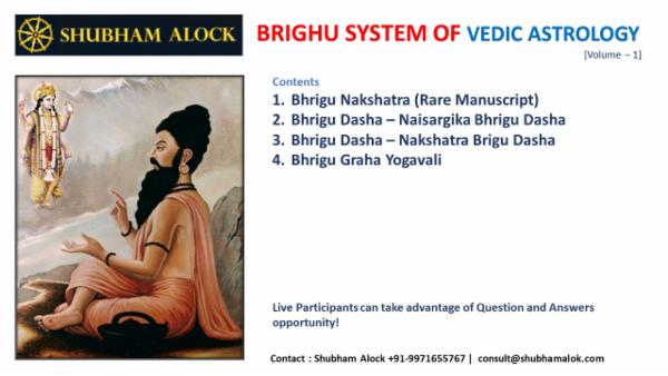 Bhrigu System of Vedic Jyotish: Level 1 cover