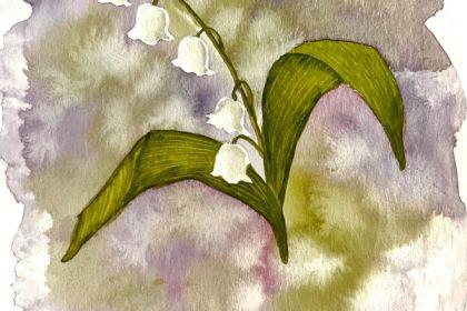 Recording - Lily of the Valley Watercolor Illustration cover