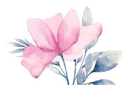 Recording - Learn Floral Watercolor Techniques cover