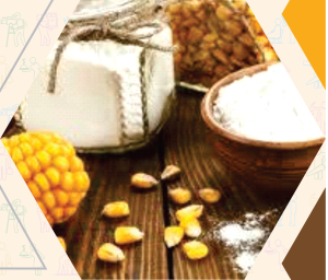 Corn Starch Processing Technician (English eBook) cover