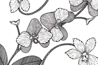 Recording - Basics of Floral Illustration cover