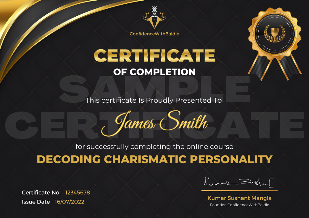 Pixel Viilage Sample Certificate