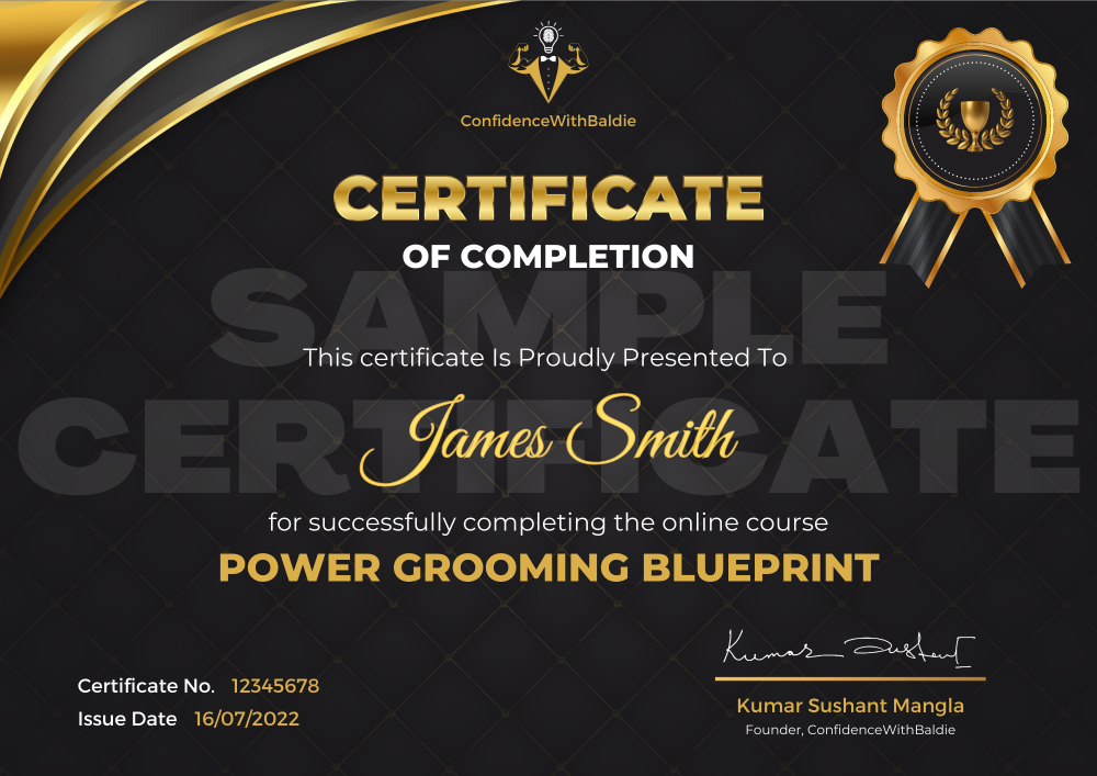 Pixel Viilage Sample Certificate