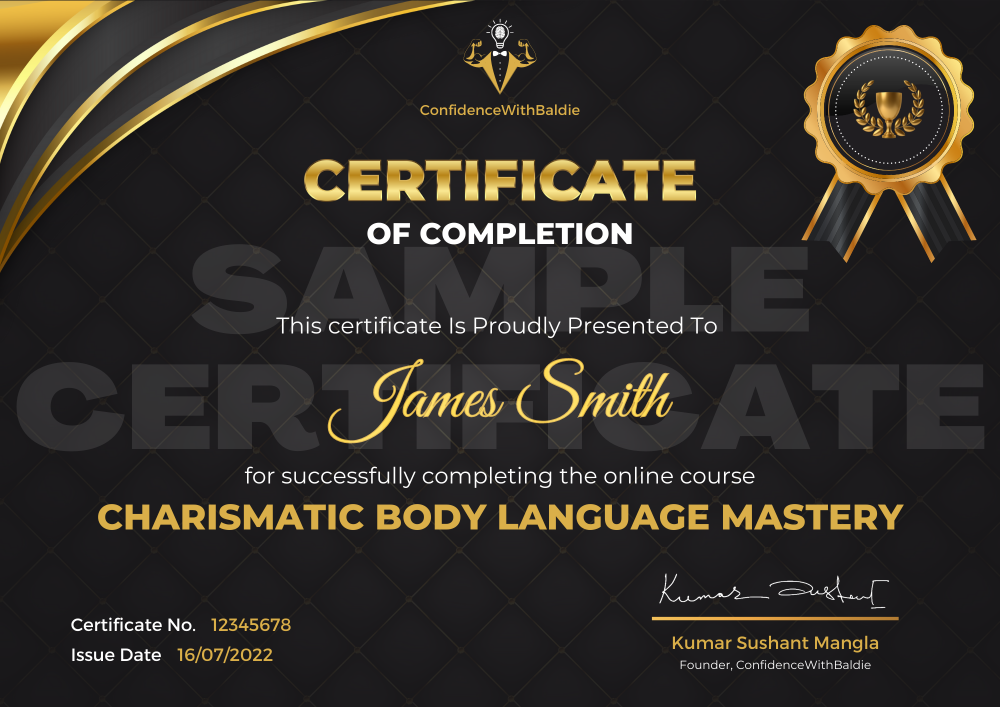 Pixel Viilage Sample Certificate