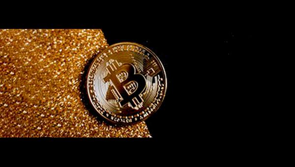 Cryptocurrency 101, How to Invest in Bitcoin & Other Cryptos cover