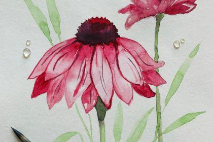 Recording - Daisy Flower Painting with Watercolor cover