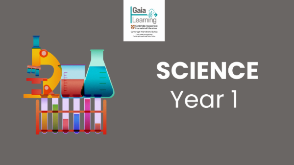 Science Year 1 cover