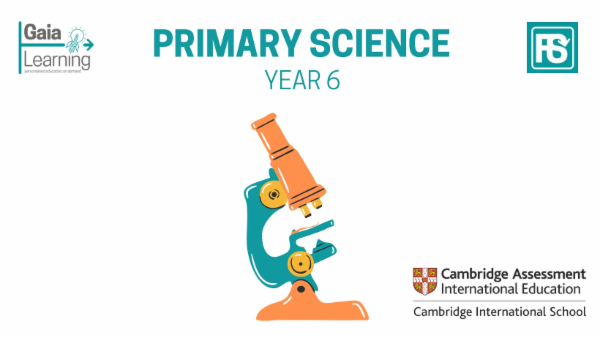Science Year 6 cover