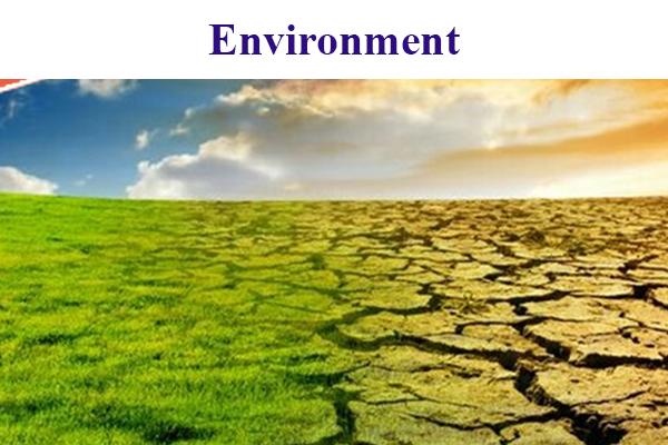 Environment - ICSE cover