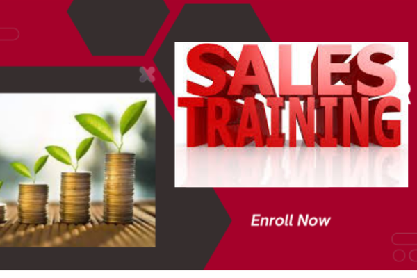 Sales Training (for Beginners) : Practical Selling Techniques cover
