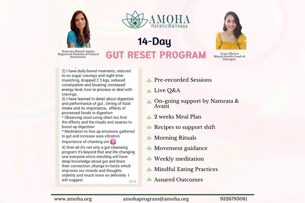 14 Day Gut Reset Program batch 1 cover