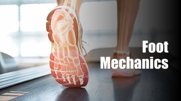 Foot Mechanics cover