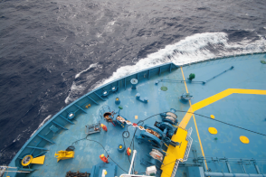 Designated Person Ashore cover