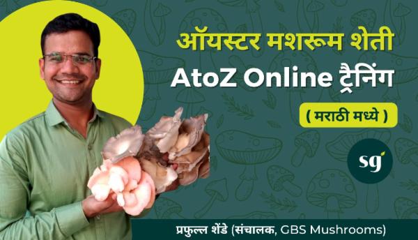 ऑयस्टर मशरूम शेती AtoZ Online ट्रैनिंग MF01M cover