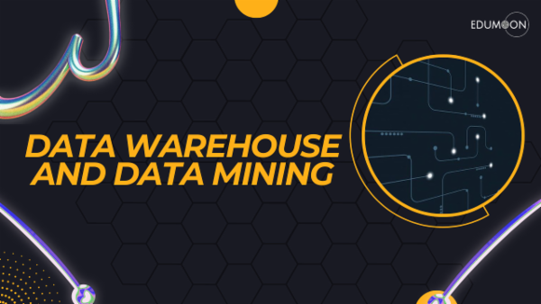 Data Warehouse and Data Mining cover