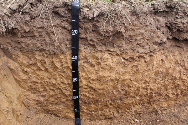 Information of Soil / मिट्टी की जानकारी cover