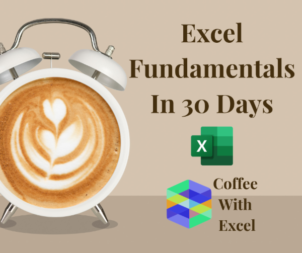 Excel Fundamentals In 30 Days cover