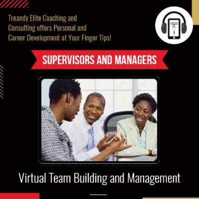 Virtual Team Building And Management cover