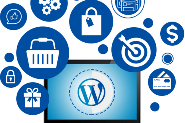 Digital Creation - WordPress & Blog cover