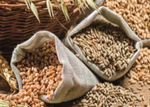 Grain Mill Operator (English eBook) cover