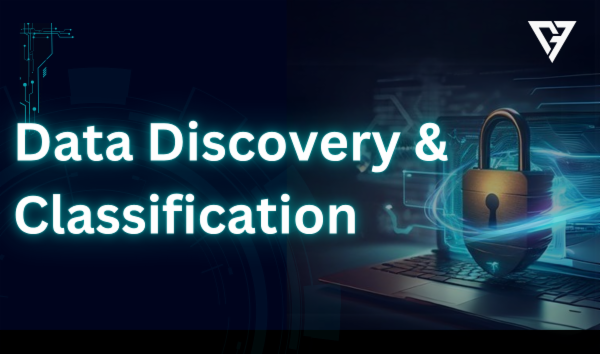 Data Discovery & Classification cover