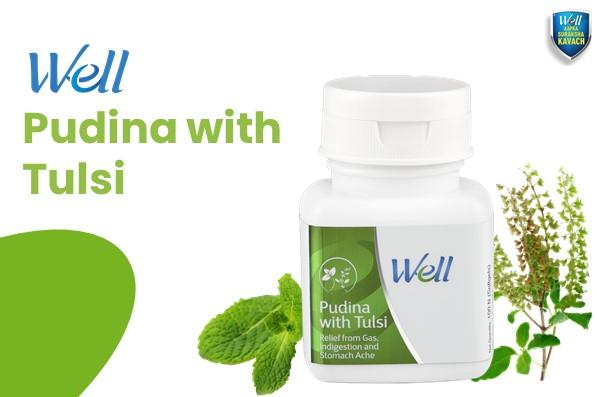 Well Pudina with Tulsi (Kannada) cover