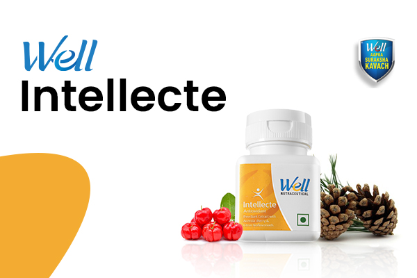 Well Intellecte (Kannada) cover