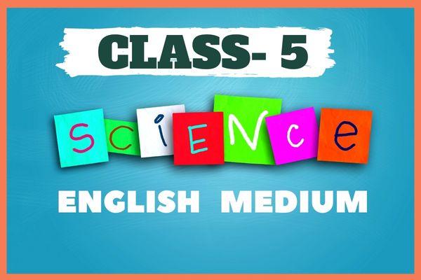 Science(5th Class) cover