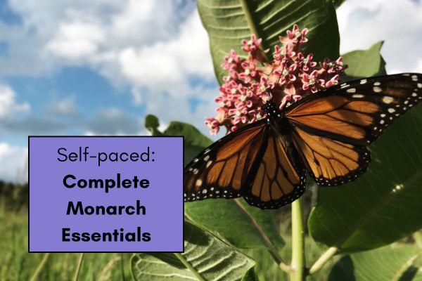 Complete Monarch Essentials cover