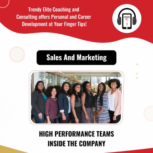 High Performance Teams Inside The Company cover