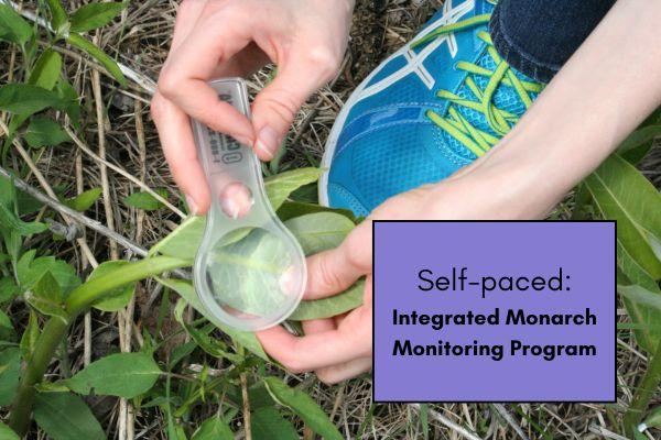 Integrated Monarch Monitoring Program cover