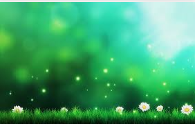 Bring out the magic in you! cover