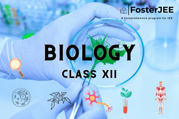 Biology CBSE Class XII cover