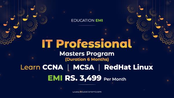 IT Professional Master's Program cover