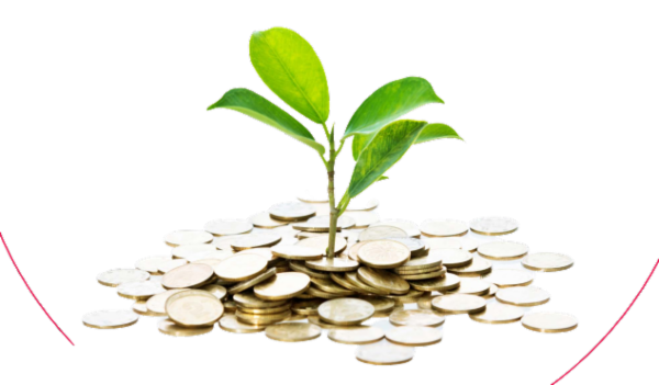 AS & A-Level Business Studies (9609) cover