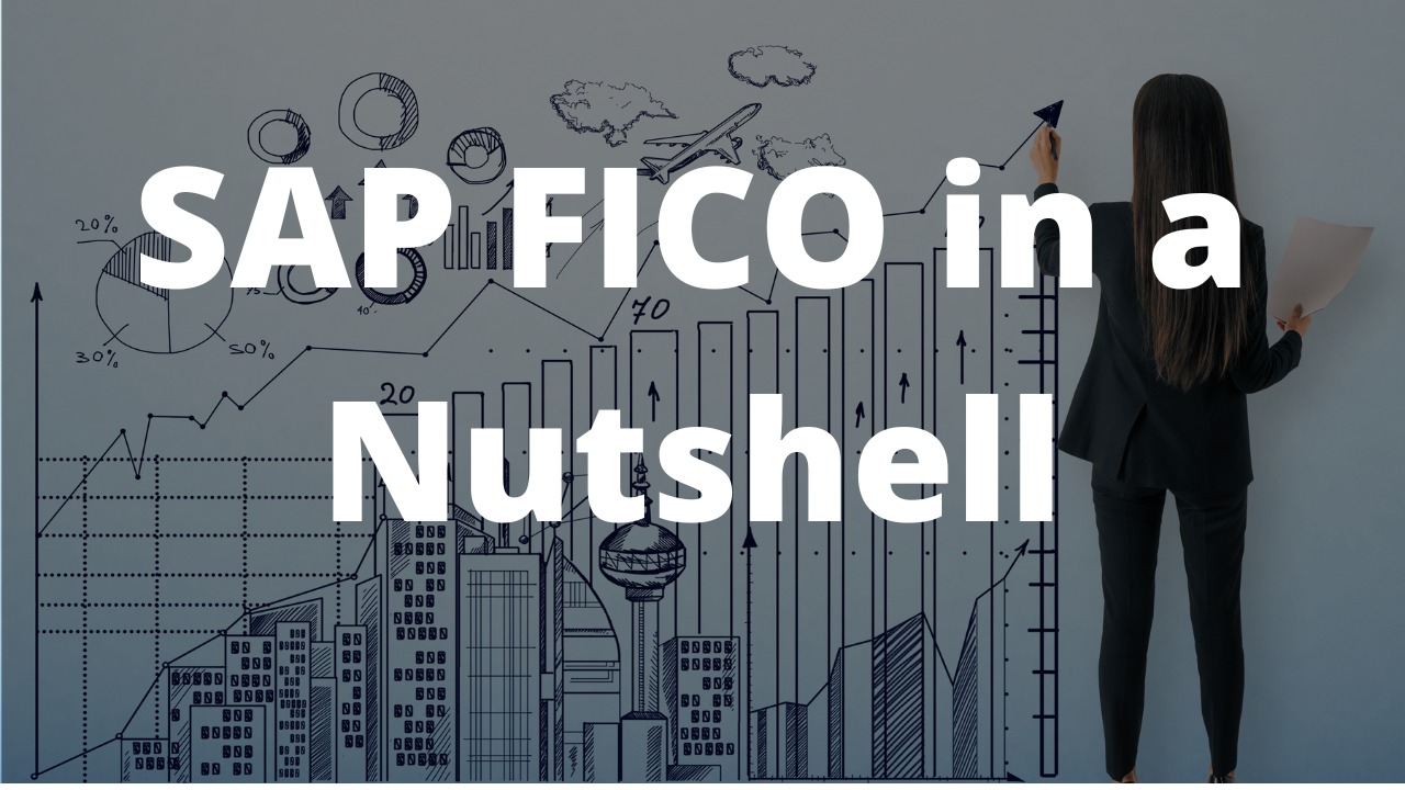 SAP FICO IN NUTSHELL cover
