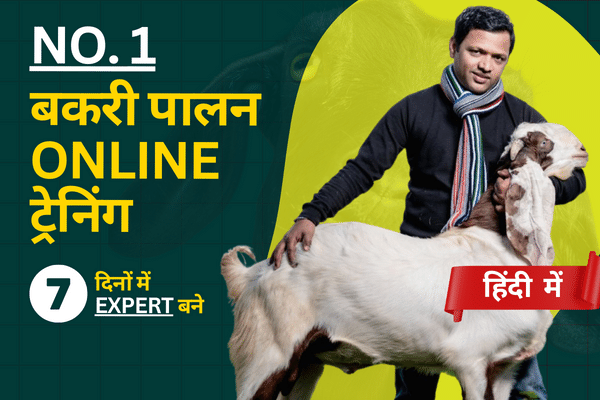No. 1 बकरी पालन Online ट्रेनिंग cover