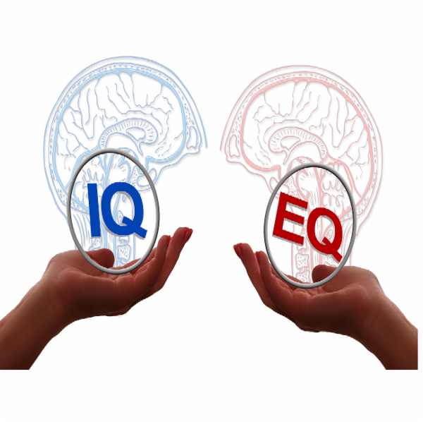 EMOTIONAL INTELLIGENCE cover