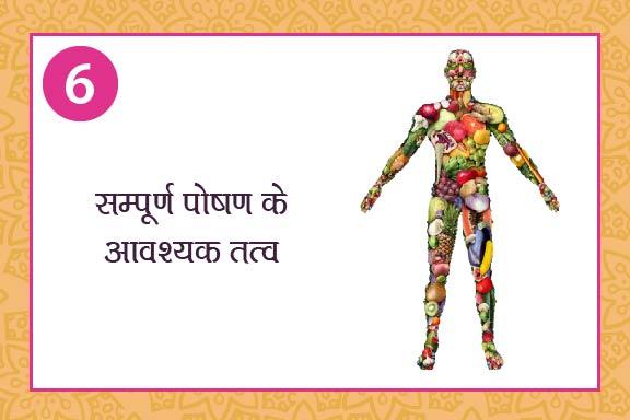 6. सम्पूर्ण पोषण के आवश्यक तत्व cover