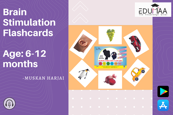 Brain Stimulation Flashcards (Age 6-12 months) cover
