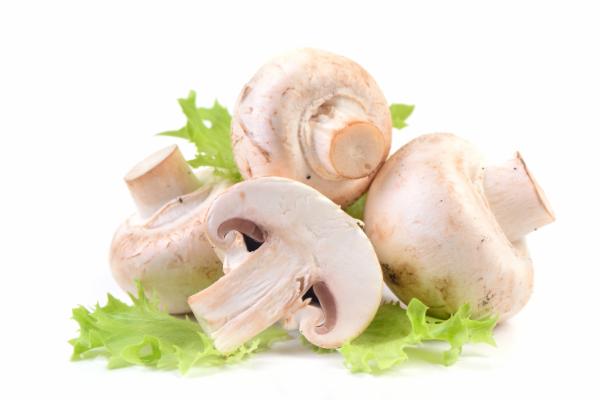 Mushroom Cultivation / मशरूम की खेती cover