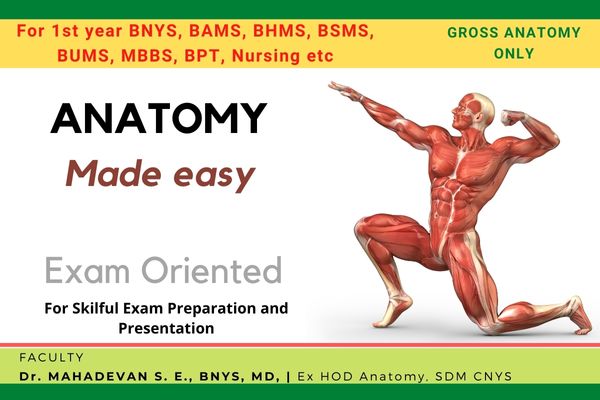 Gross Human Anatomy - 1 - Upper Limb - Important Topics - 20 Classes cover