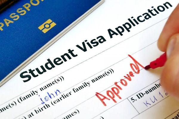 Study Visa Cosultancy course cover