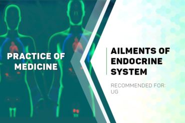 Practice of Medicine: Ailments of the Endocrine System cover