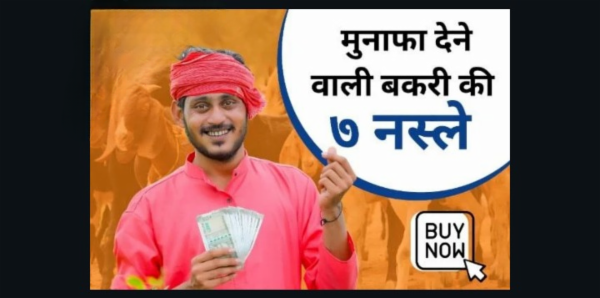 बकरी पालन - बकरी की नस्लें cover