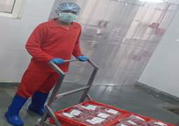 Industrial Production Worker- Food Processing (Assamese eBook) cover