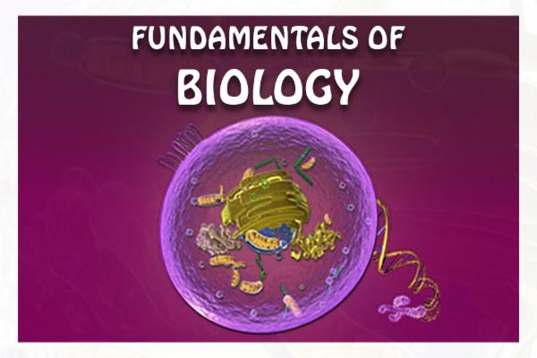 Fundamentals of Biology cover
